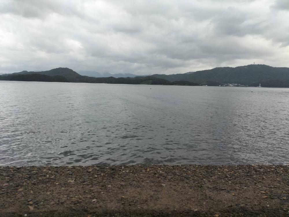 久しぶりのカマス