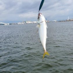 コスモでサバゲー