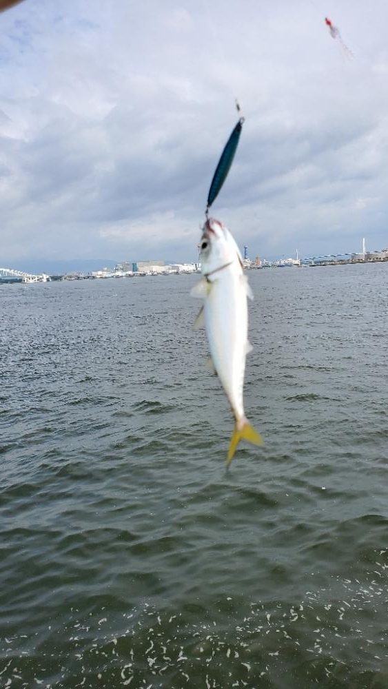 コスモでサバゲー