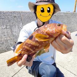 先日のリベンジ！