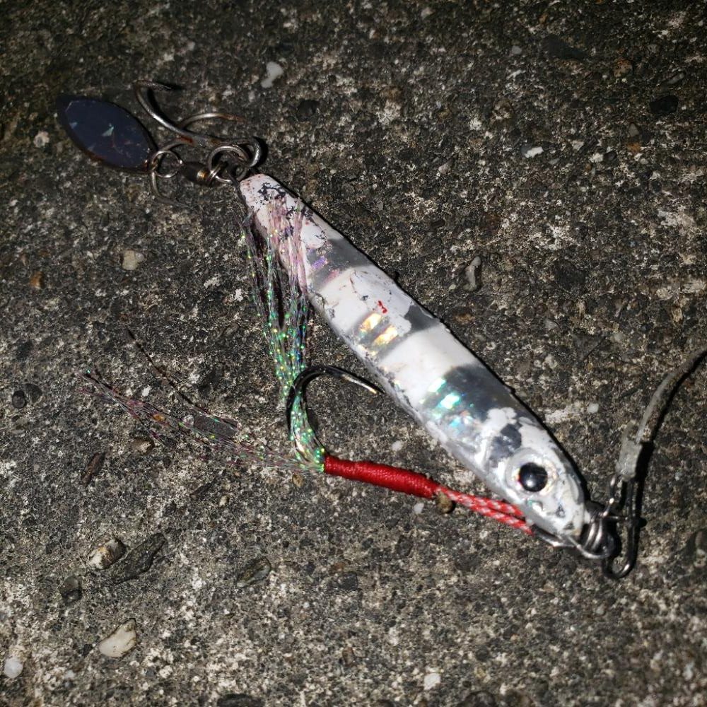 おはようマゴチさん！