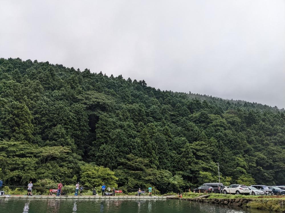 足柄キャスティングエリア