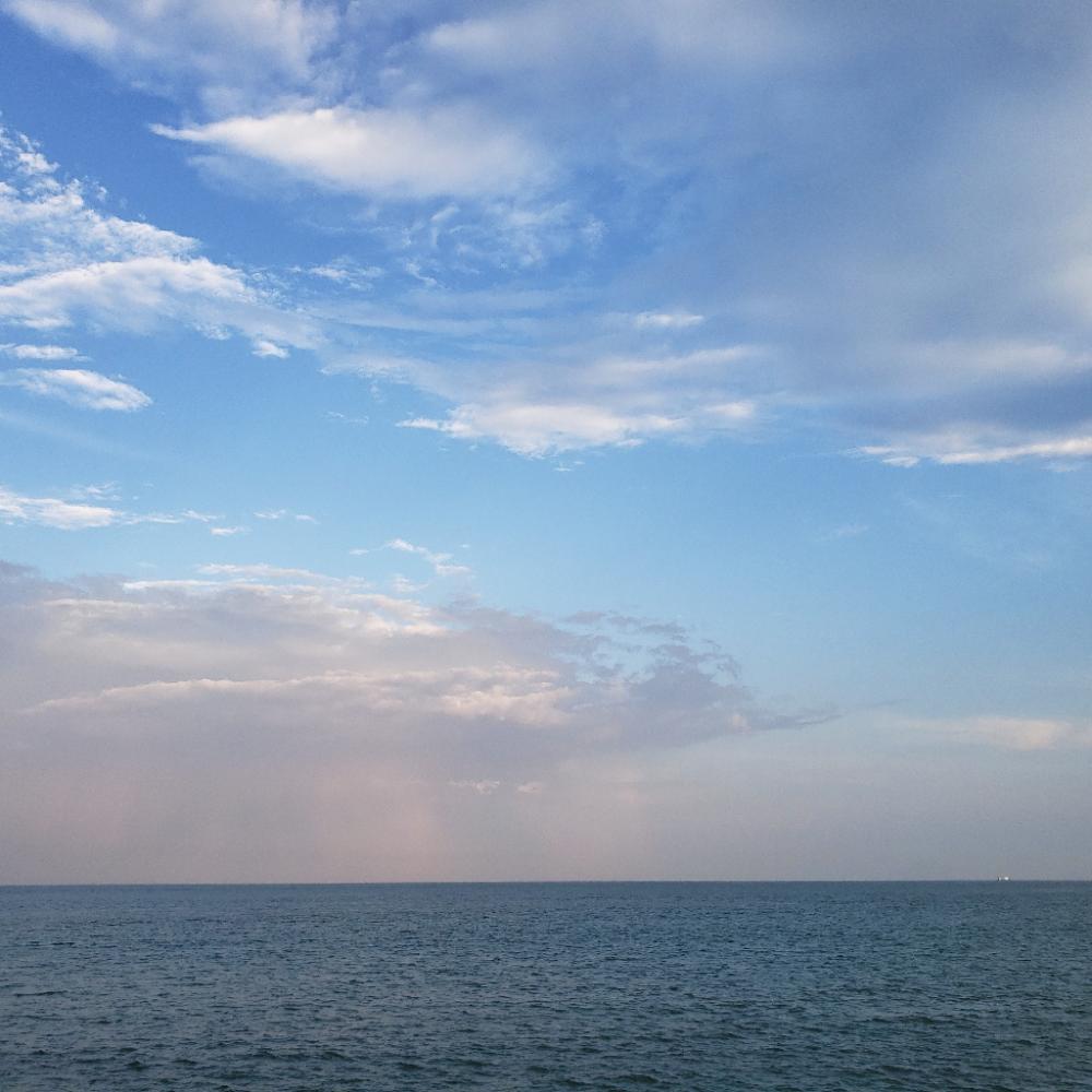 こんちはスズキさん!