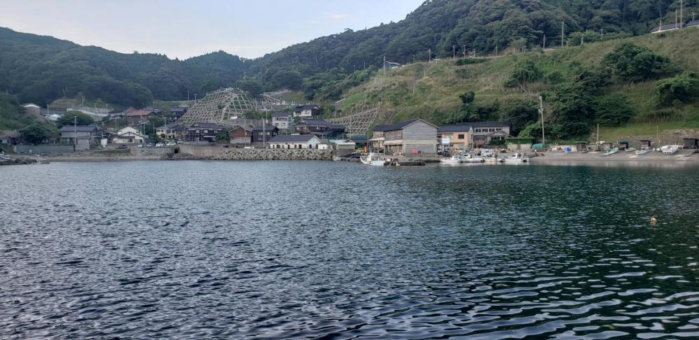 アジ探し@日本海