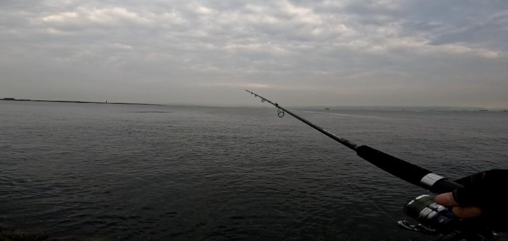 さば・サバ・鯖