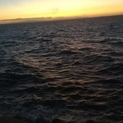 久しぶりの冲向きテトラ