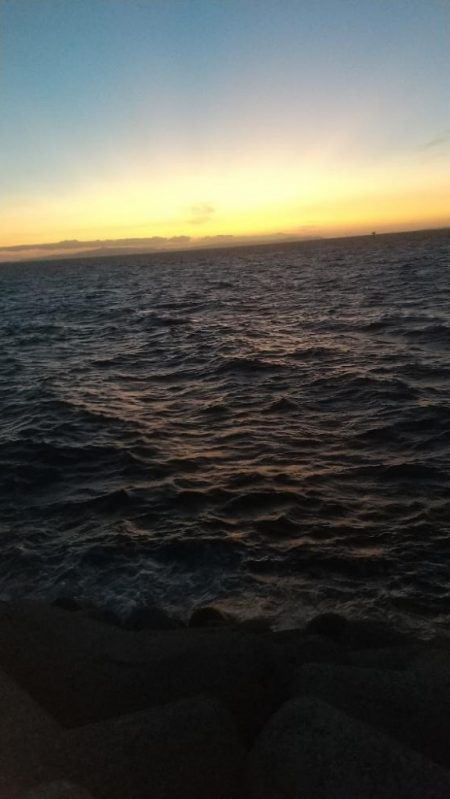 久しぶりの冲向きテトラ