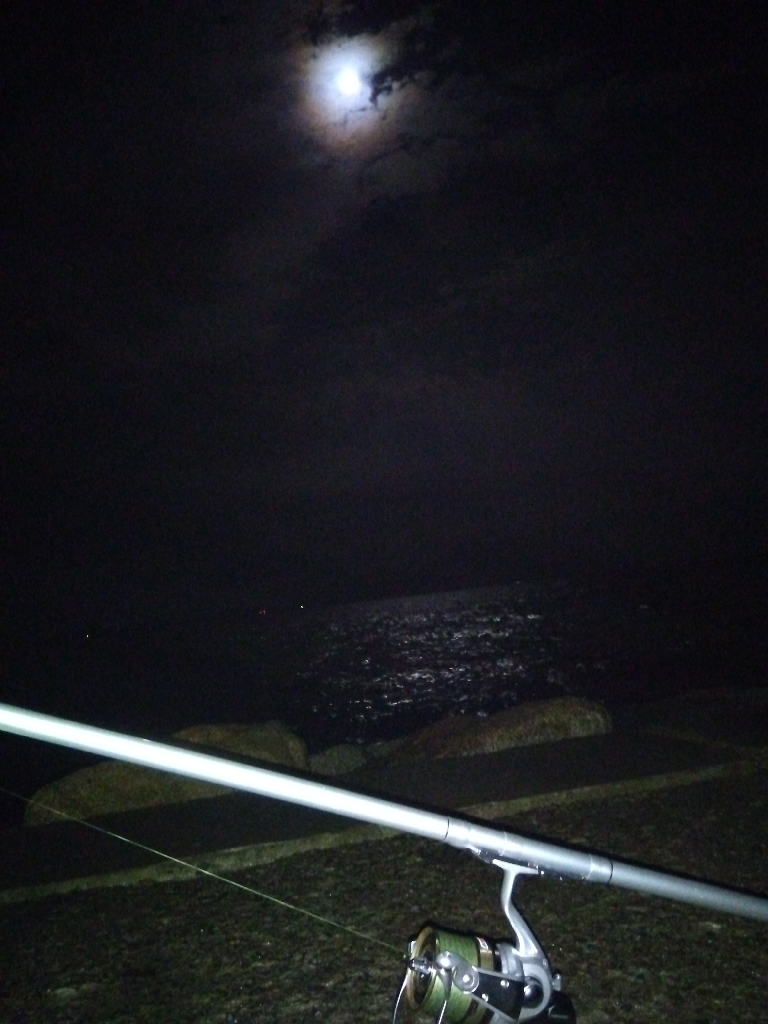 苅屋海岸のキス釣り