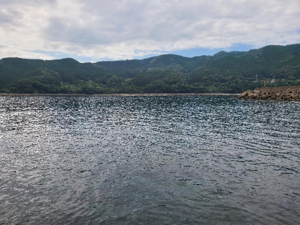 五目釣り達成！