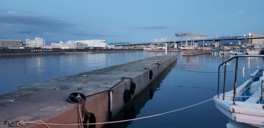 アジ探し@佐野漁港