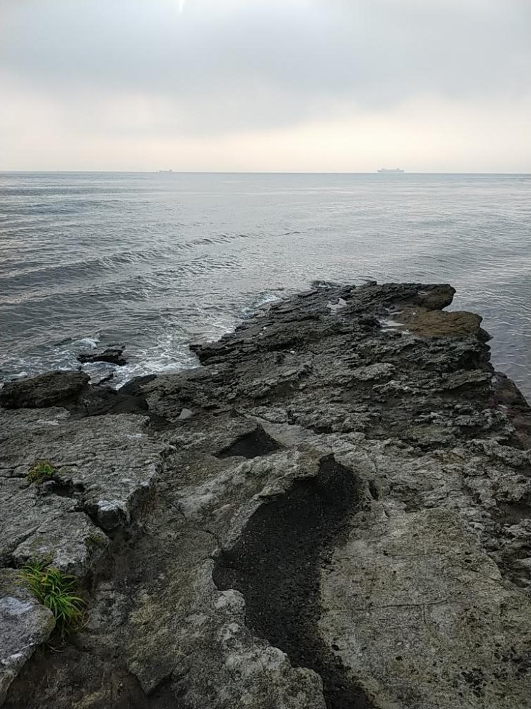 朝マヅメ青物回遊あり