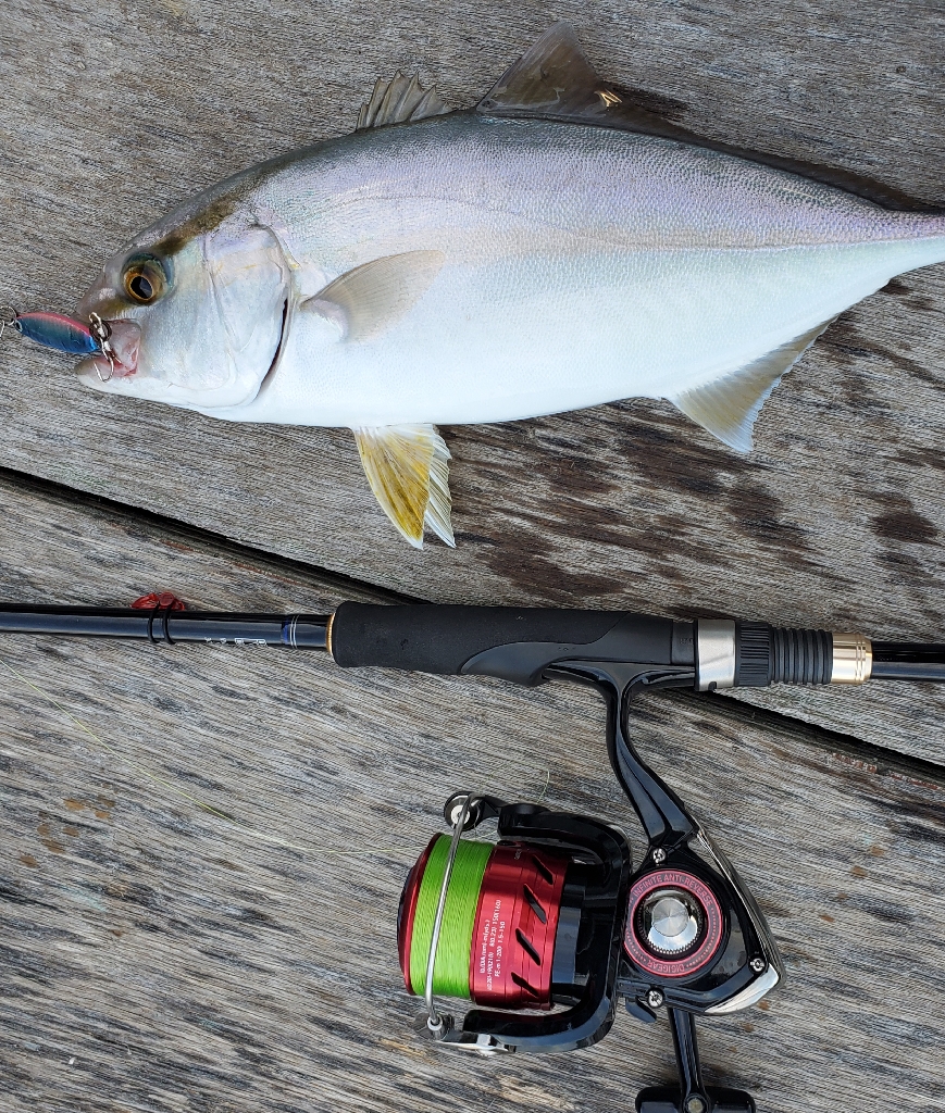 ダイソーショアジギング