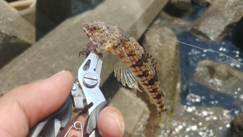 台風後明け厳しい天候の潮岬