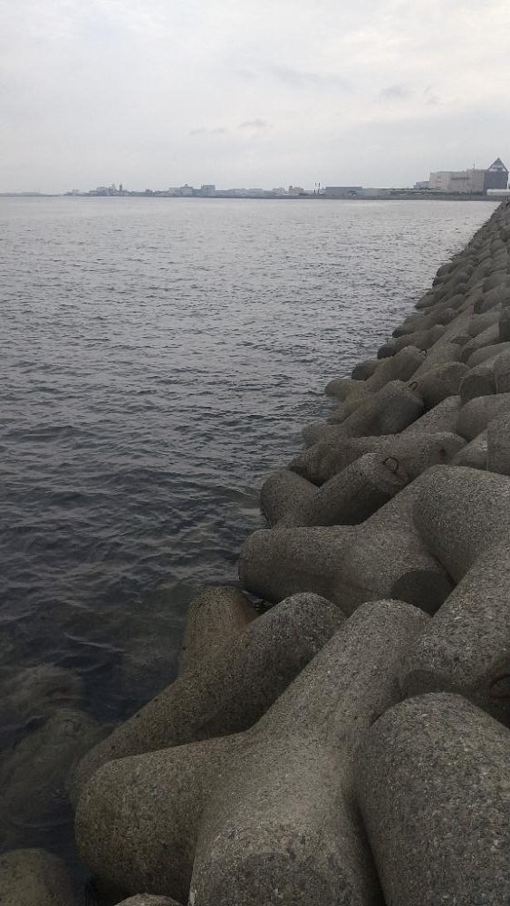 久しぶり…の青物