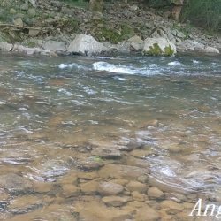 今シーズン最終釣行、支流で良型