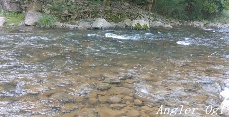 今シーズン最終釣行、支流で良型