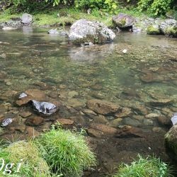 天川村は渇水期も関係なし！