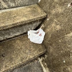 清掃活動：渋い日