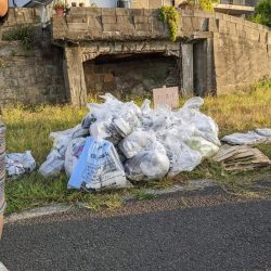 清掃活動：漁港の掃除から鮎釣りへ