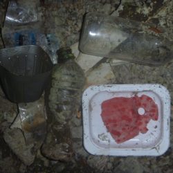 清掃活動：八月黒鱒