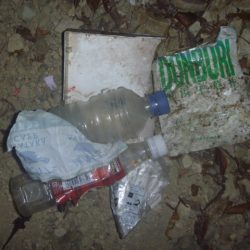 清掃活動：雨上がりに