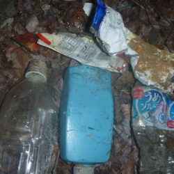 清掃活動：夏やせ？バス