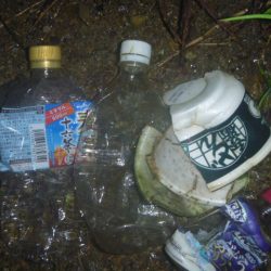 清掃活動：スピナーベイトで