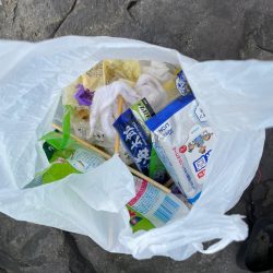 清掃活動：地磯釣行