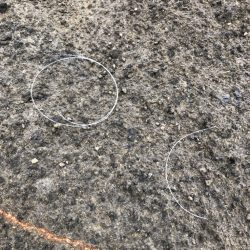 清掃活動：2022 佐渡ヶ島ライトゲーム