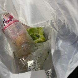 清掃活動：小浜でイカメタル