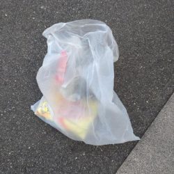 清掃活動：五目釣り