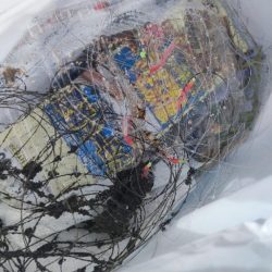 清掃活動：箱崎ふ頭でちょい投げ五目