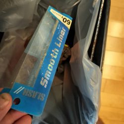 清掃活動：シイラとネイリ