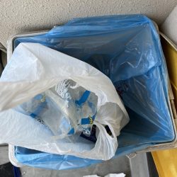 清掃活動：アジしか勝たん