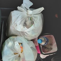 清掃活動：アジング