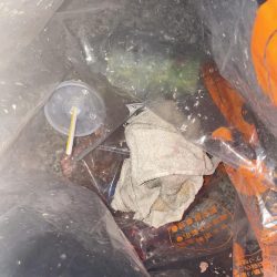 清掃活動：サビキ釣り♪