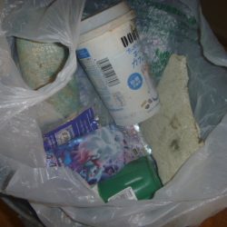 清掃活動：八月バス