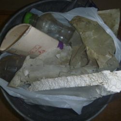 清掃活動：夕立バス