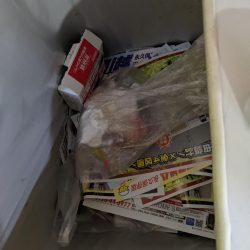 清掃活動：ナブラ発生