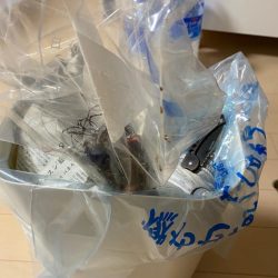 清掃活動：エギング