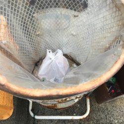 清掃活動：サビキ釣り