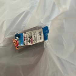 清掃活動：トップチヌゲーム