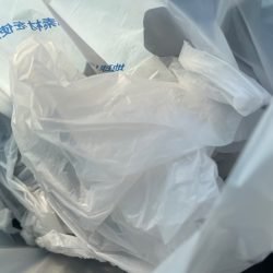 清掃活動：チヌ自己新記録！