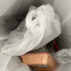 清掃活動：宇佐一文字