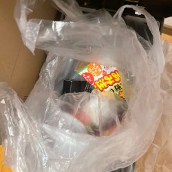 清掃活動：サビキ釣り釣果