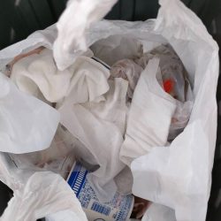 清掃活動：豆アジング&カワハギ