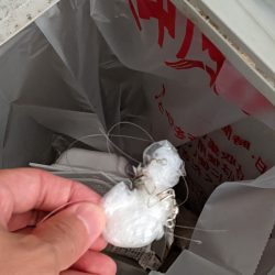 清掃活動：堤防キス釣り