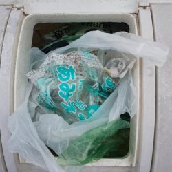 清掃活動：夜釣りがしたくて