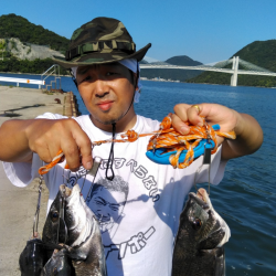 牡蛎を食べたチヌはマッスル