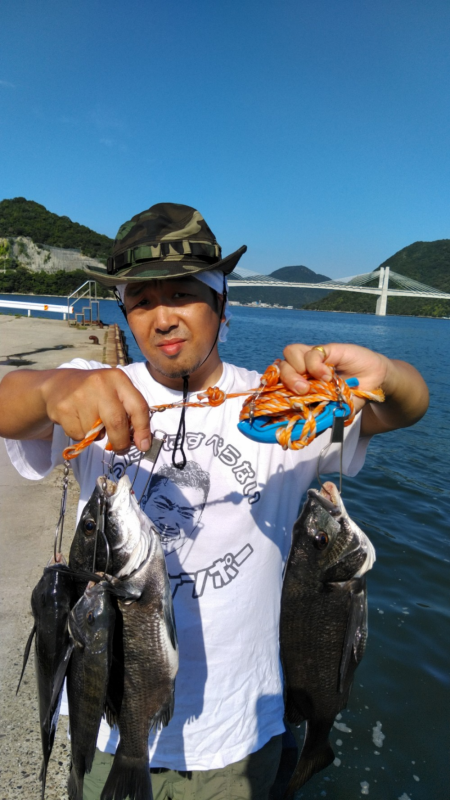 牡蛎を食べたチヌはマッスル